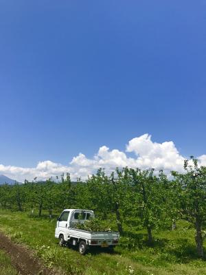 20190819-5.jpg