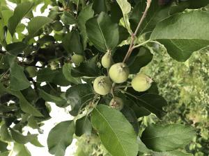 20190819-7.jpg